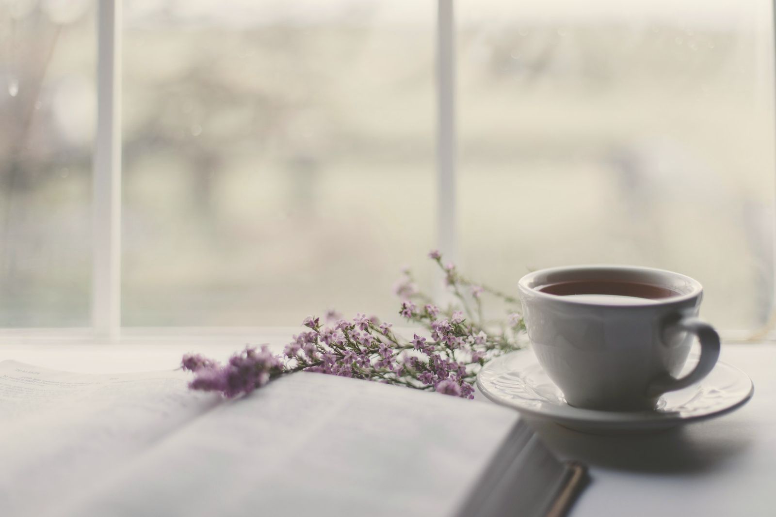 Taza de té junto a una ventana con luz natural y una rama de lavanda